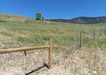 Wood-Fences-Ranch-Post-_-Wire