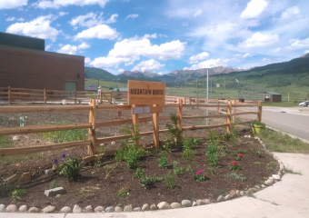 Crested_Butte_Mountain_Roots_Fence_III