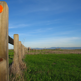 Colorado Fencing Contractors: What Types of Fencing Are Available?