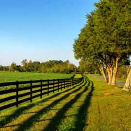 Tips For Tearing Down Your Colorado Fence