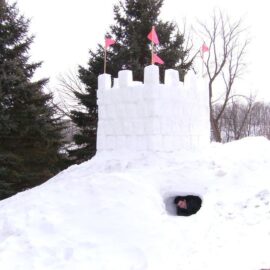 Your Winter Backyard Bucket List