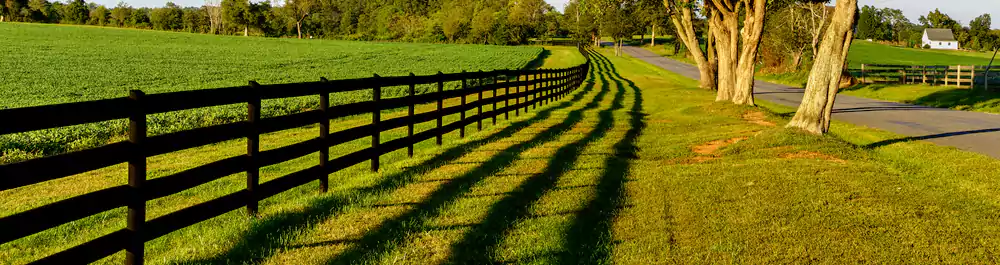 Tear Down Fence across the green fields
